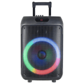 12-Inch Portable Bluetooth Party Speaker