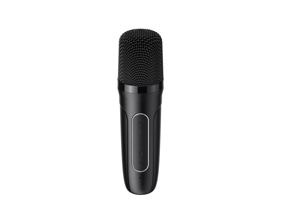 'Hearts Melody'Portable Karaoke Machine