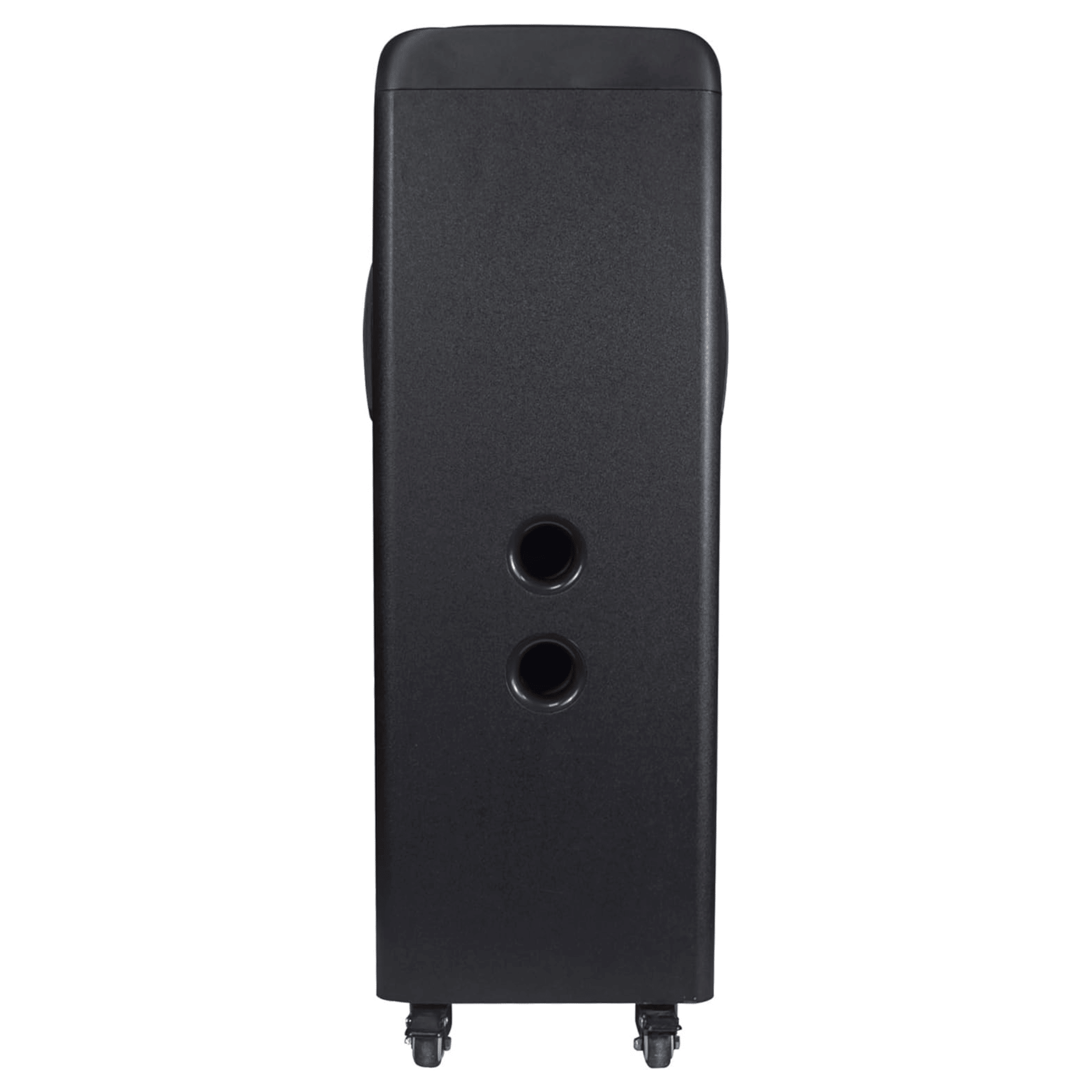 TorusFLEX 2x10-Inch Portable Bluetooth DJ Speaker