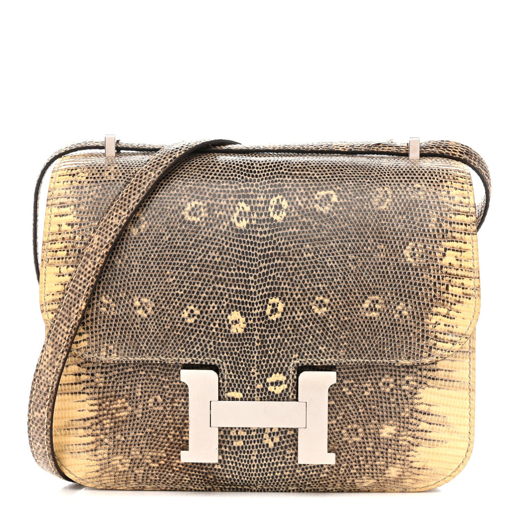 Lizard Constance 18 Ombre