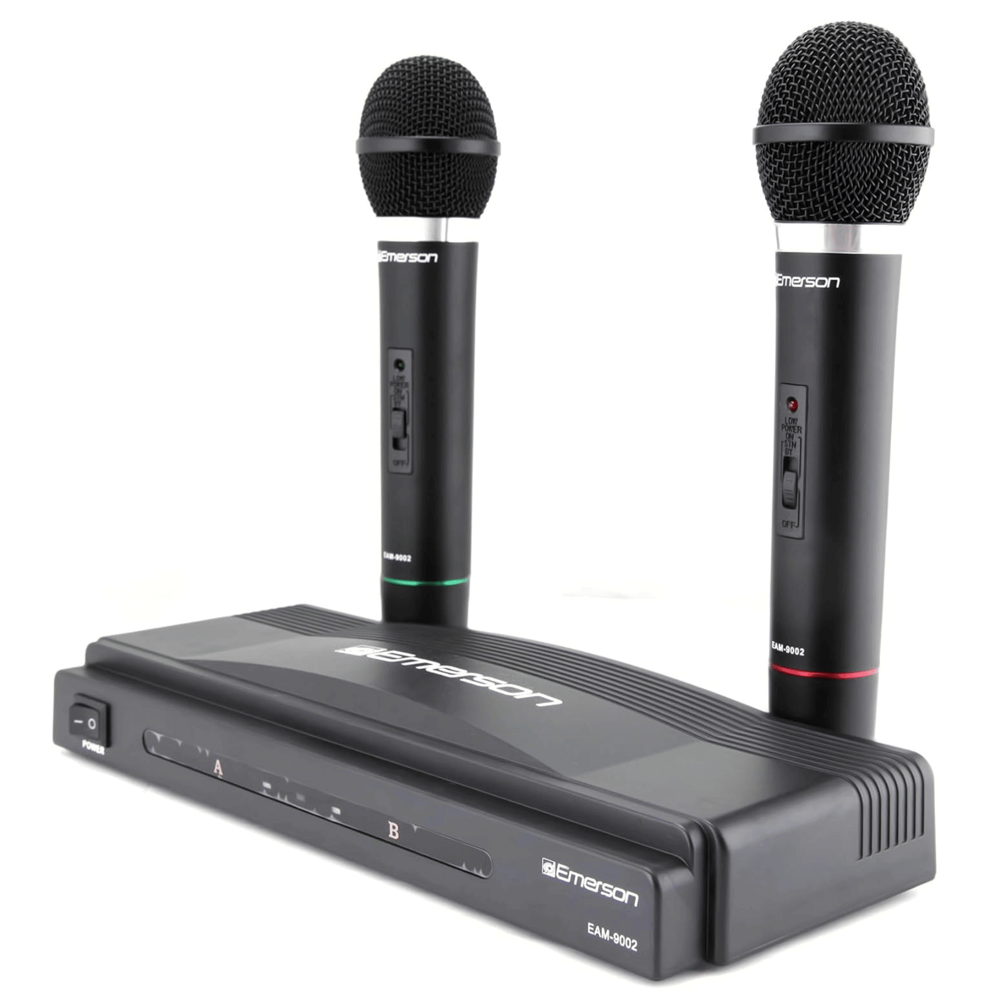 Professional Dual Microphone Kit with Wireless Transmitter