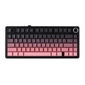 F75 Pro Wireless Mechanical Gaming Keyboard with Gasket Mount, RGB Lighting, Customized 75% Layout, and Side-Engraved PBT Keycaps - Leobog Reaper