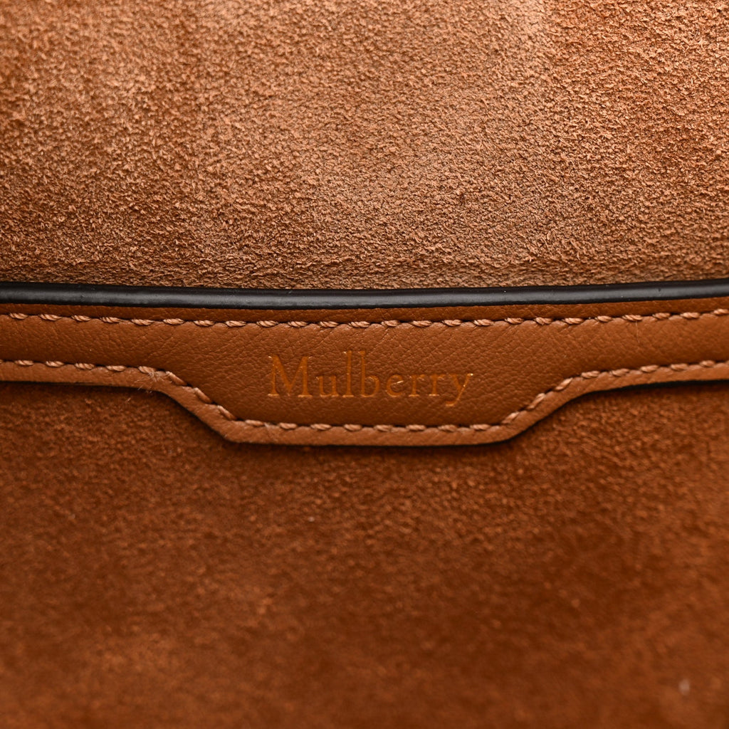 Silky Calfskin Mini Rider's Top Handle Bag Teak