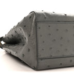 Ostrich Shiny Nappa Mini Peekaboo Iconic Satchel Grey