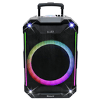 15-Inch Portable Bluetooth Speaker