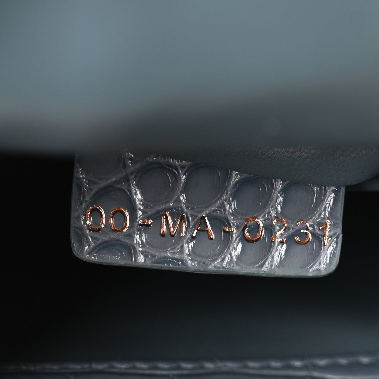 Alligator Crystal Mini Lady Dior Blue