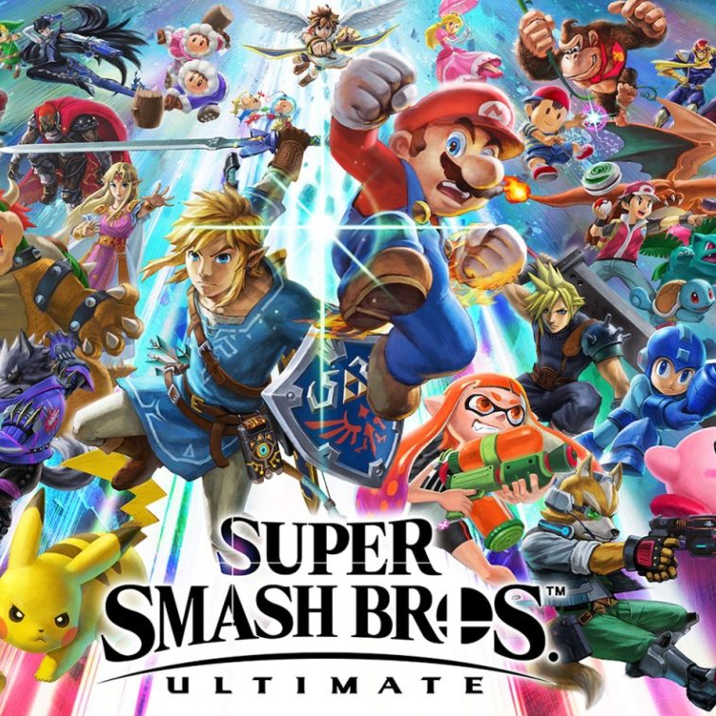 Hard Shell 12 Game Caddy, Super Smash Bros Game for Switch