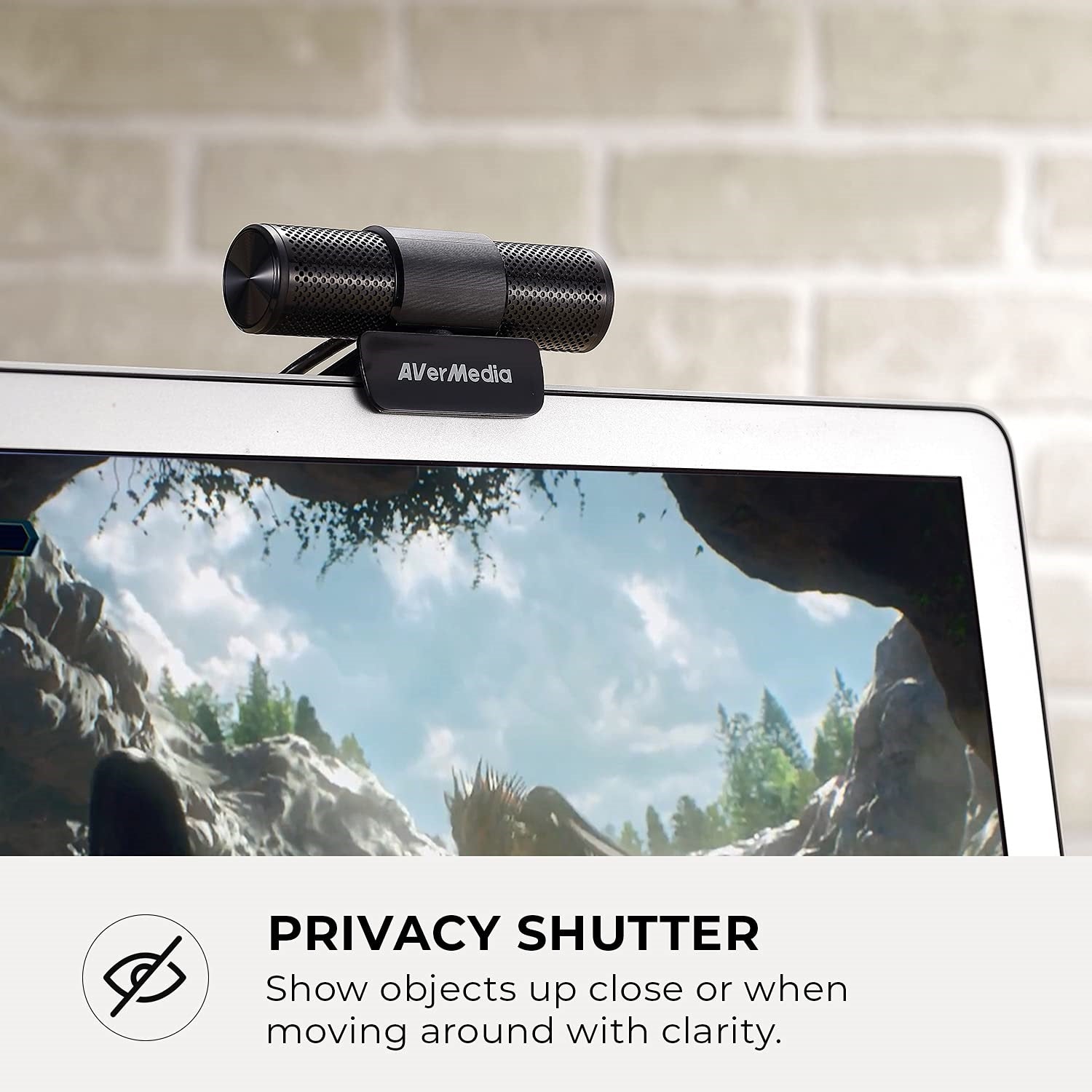 CAM 313 Webcam 2 Megapixel USB 2.0
