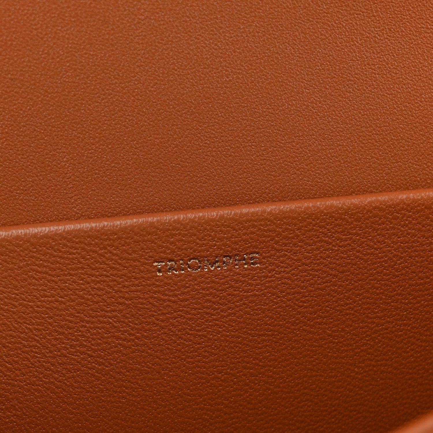 Triomphe Canvas Calfskin Medium Triomphe Bag Tan