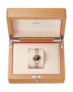 Seamaster Aqua Terra 150M