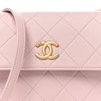 Calfskin Quilted Pearl Small About Pearls Hobo Bag Light Pink