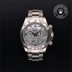 Cosmograph Daytona