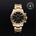 Cosmograph Daytona