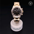 Cosmograph Daytona