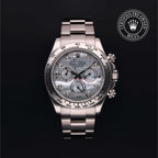 Cosmograph Daytona