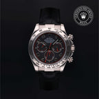 Cosmograph Daytona