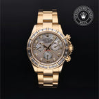 Cosmograph Daytona