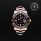 GMT-Master II