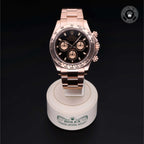 Cosmograph Daytona