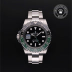 GMT-Master II