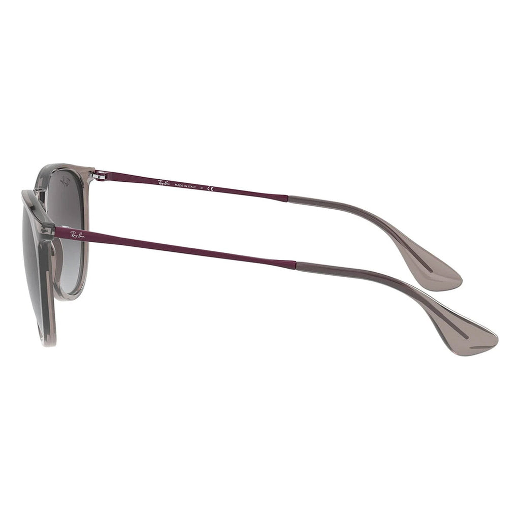 Ray-Ban Erika Classic Transparent Grey Gradient Sunglasses RB4171