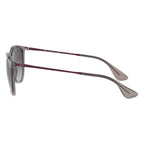 Ray-Ban Erika Classic Transparent Grey Gradient Sunglasses RB4171