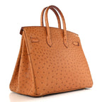 Ostrich Birkin 35 Gold