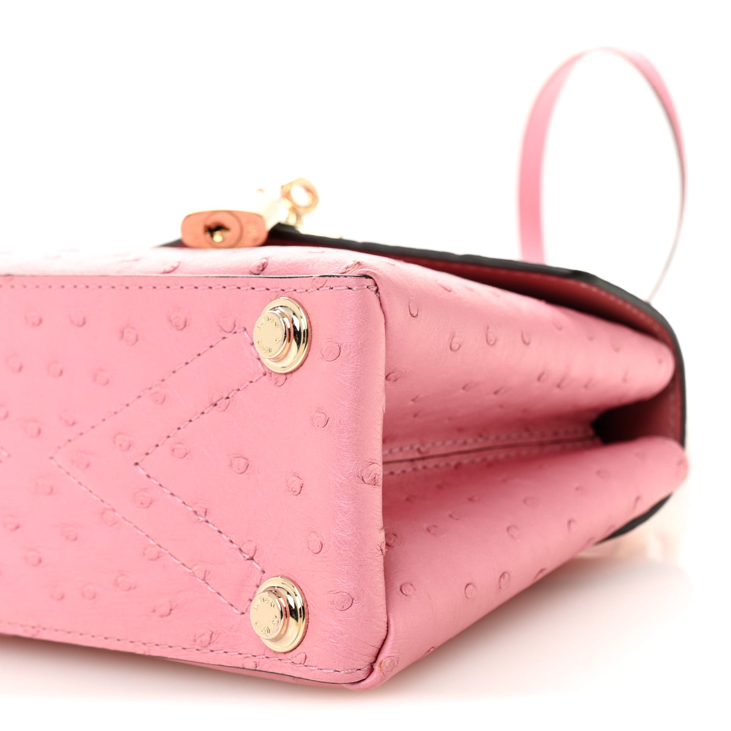 Ostrich Rose Des Vents Mini Pink