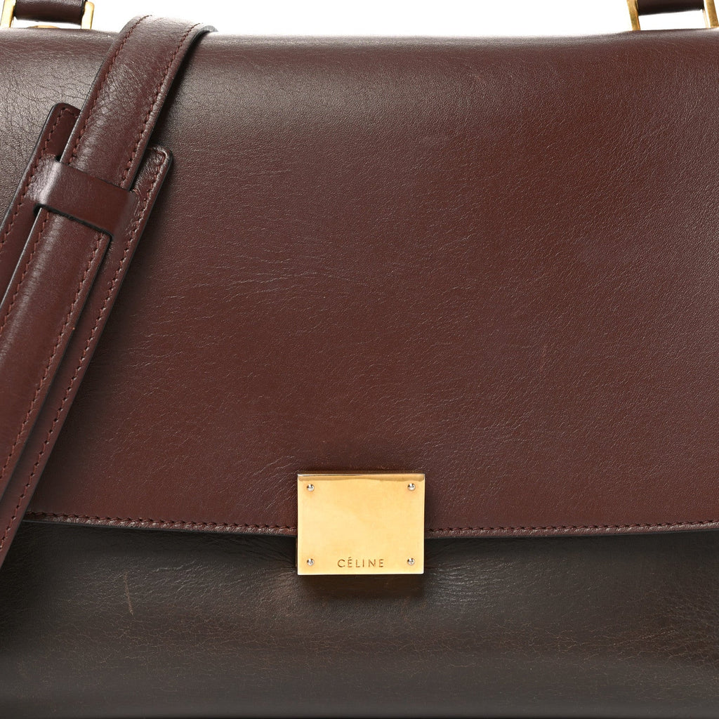 Sleek Calfskin Tri-color Small Trapeze Wine