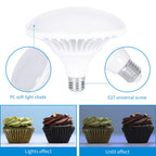 Softbox Lighting Kit, Photo Equipment Studio Softbox 20" x 27", with E27 Socket and 2x5500K Instant Brightness Energy Saving Lighting Bulbs