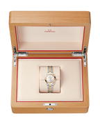 Seamaster Aqua Terra 150M