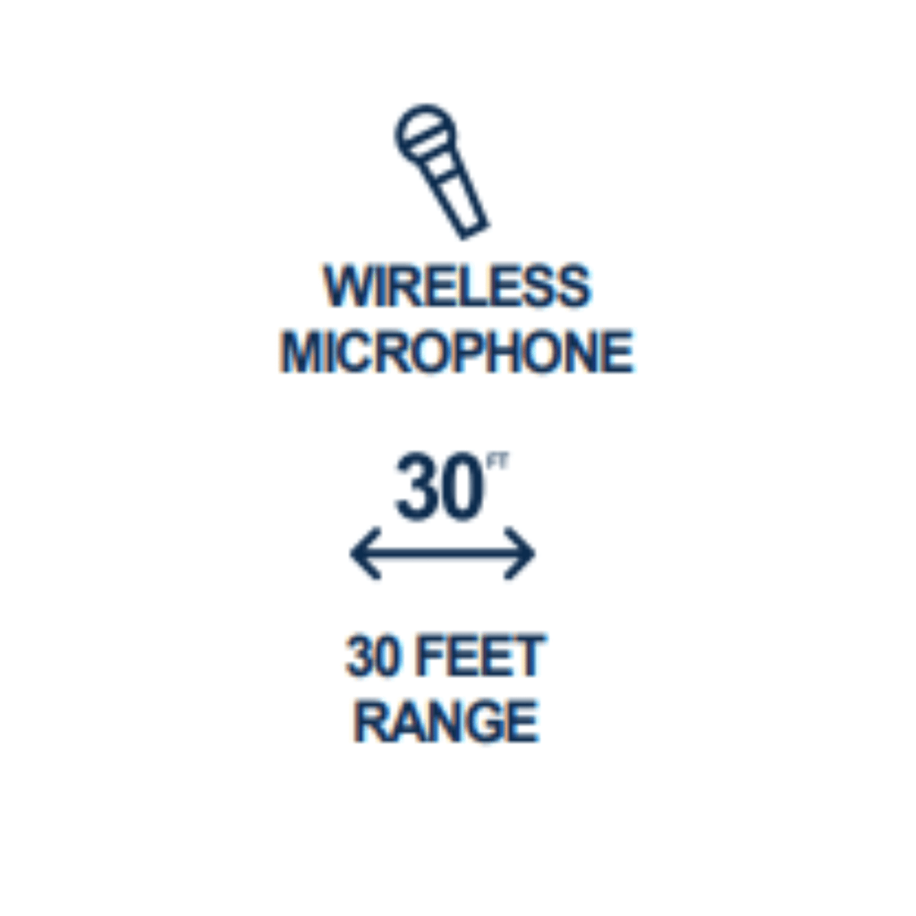 Professional Microphone Kit with Wireless Receiver