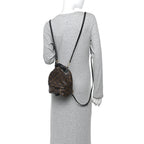 Monogram Palm Springs Backpack Mini