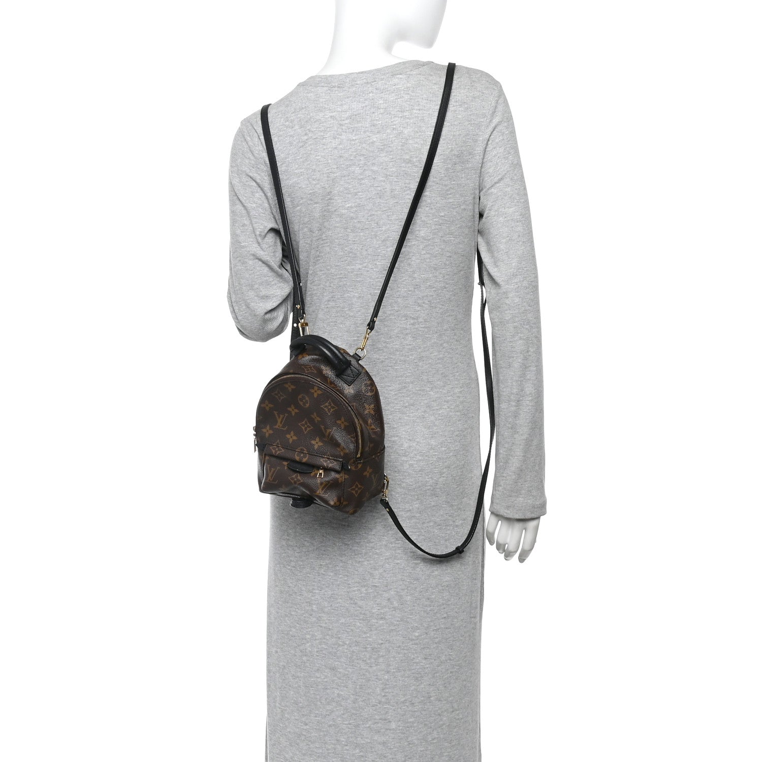 Monogram Palm Springs Backpack Mini