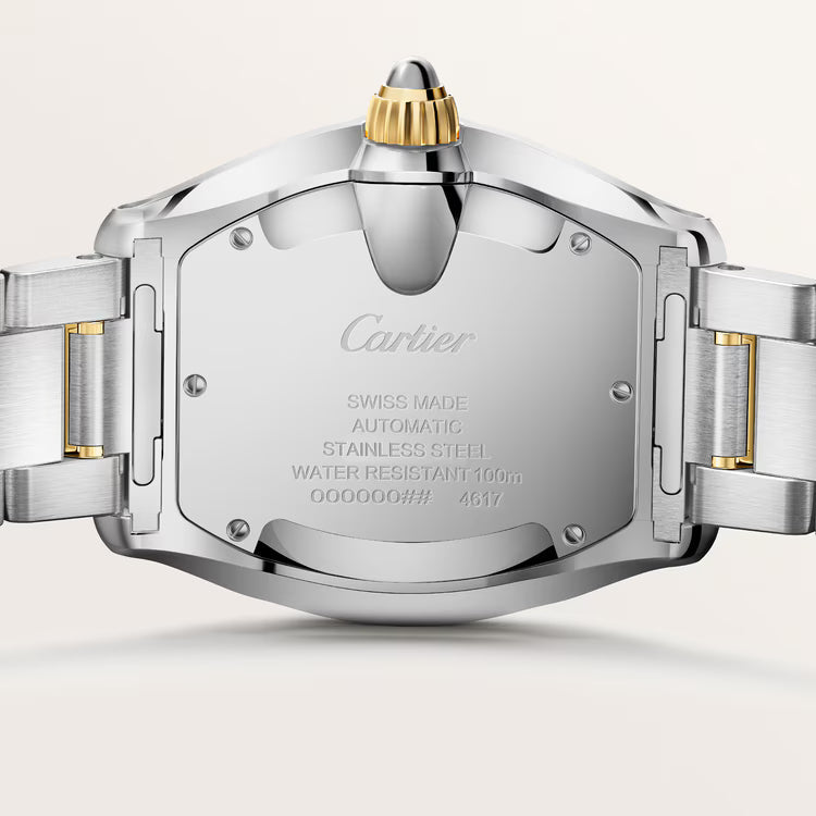 Roadster Large Model | 39mm, Two-Tone Stainless Steel & 18K Yellow Gold, White Dial