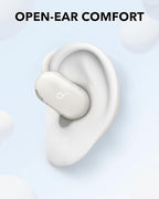 soundcore V20i