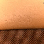 Monogram Nano Speedy Bandouliere