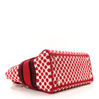 Canvas Medium DiorAmour Dots Lady D-Lite Red