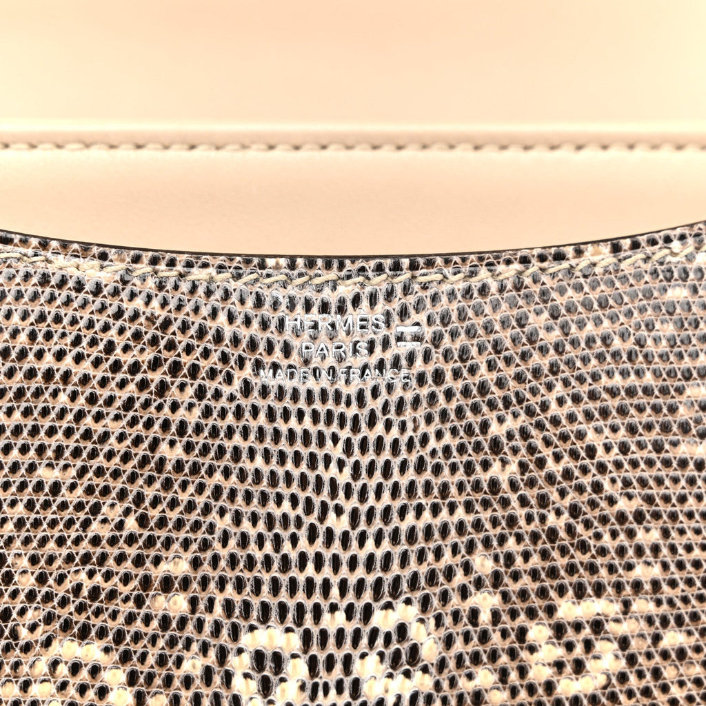Lizard Constance 18 Ombre
