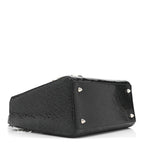 Ceramic Effect Deerskin Jeweled Swan Lady Dior Black