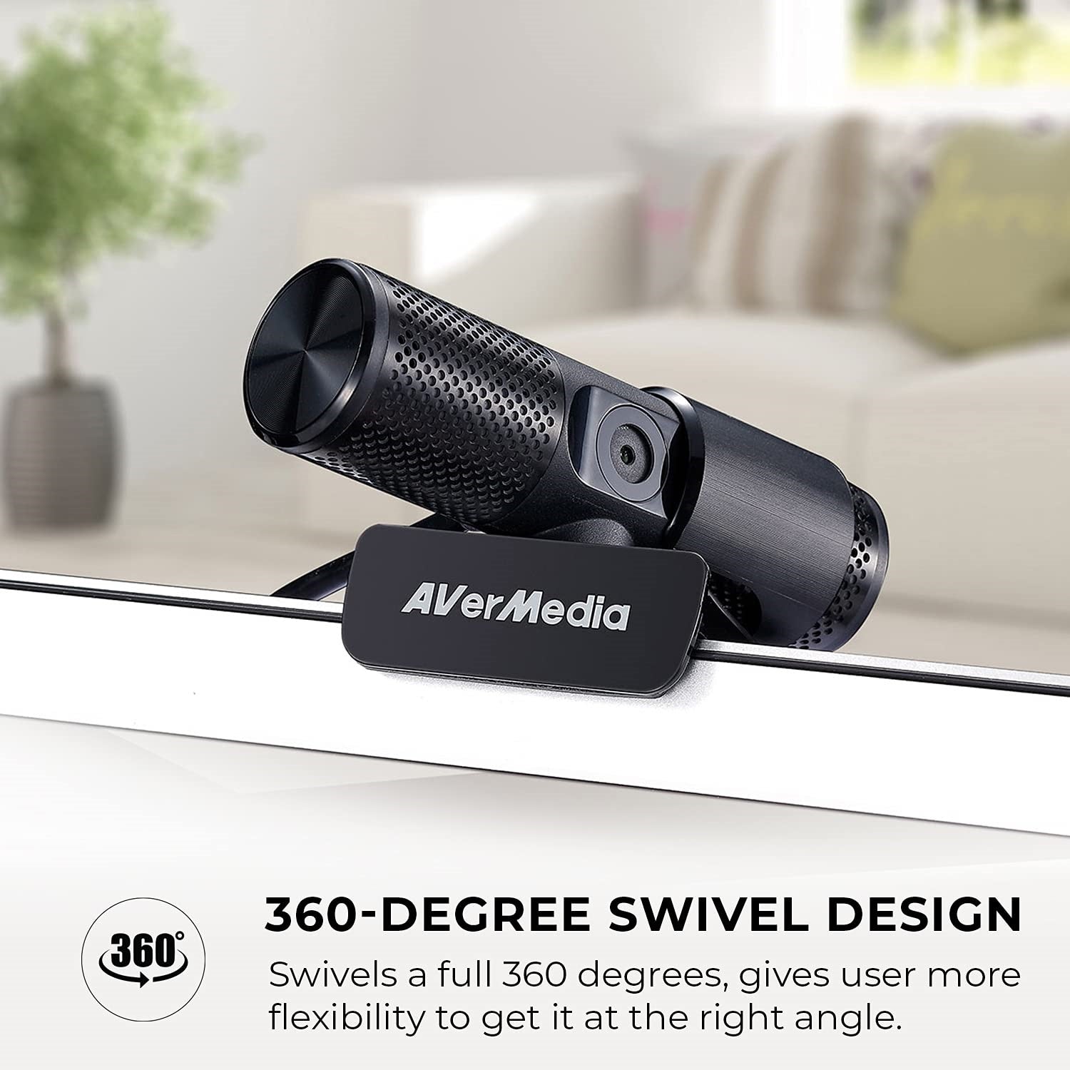 CAM 313 Webcam 2 Megapixel USB 2.0