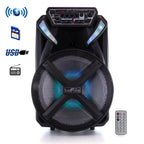 12 Inch BT Portable Rechargeable Party Speaker