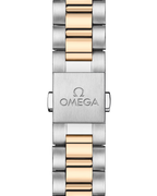 Seamaster Aqua Terra 150M