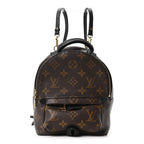 Monogram Palm Springs Backpack Mini