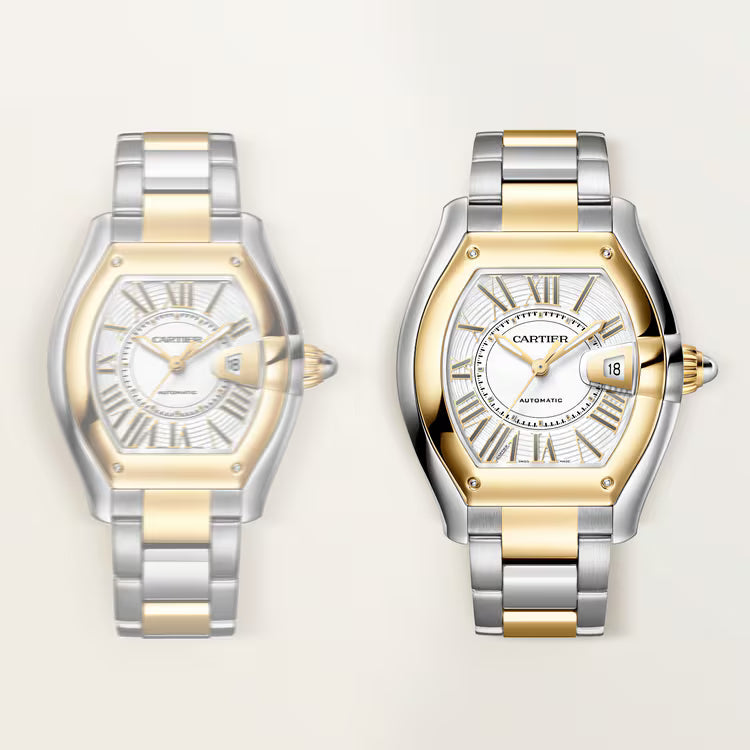 Roadster Large Model | 39mm, Two-Tone Stainless Steel & 18K Yellow Gold, White Dial