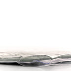 Plastic Bag with Cloudy Lambskin Solo Zip Pouch Clutch Celadon