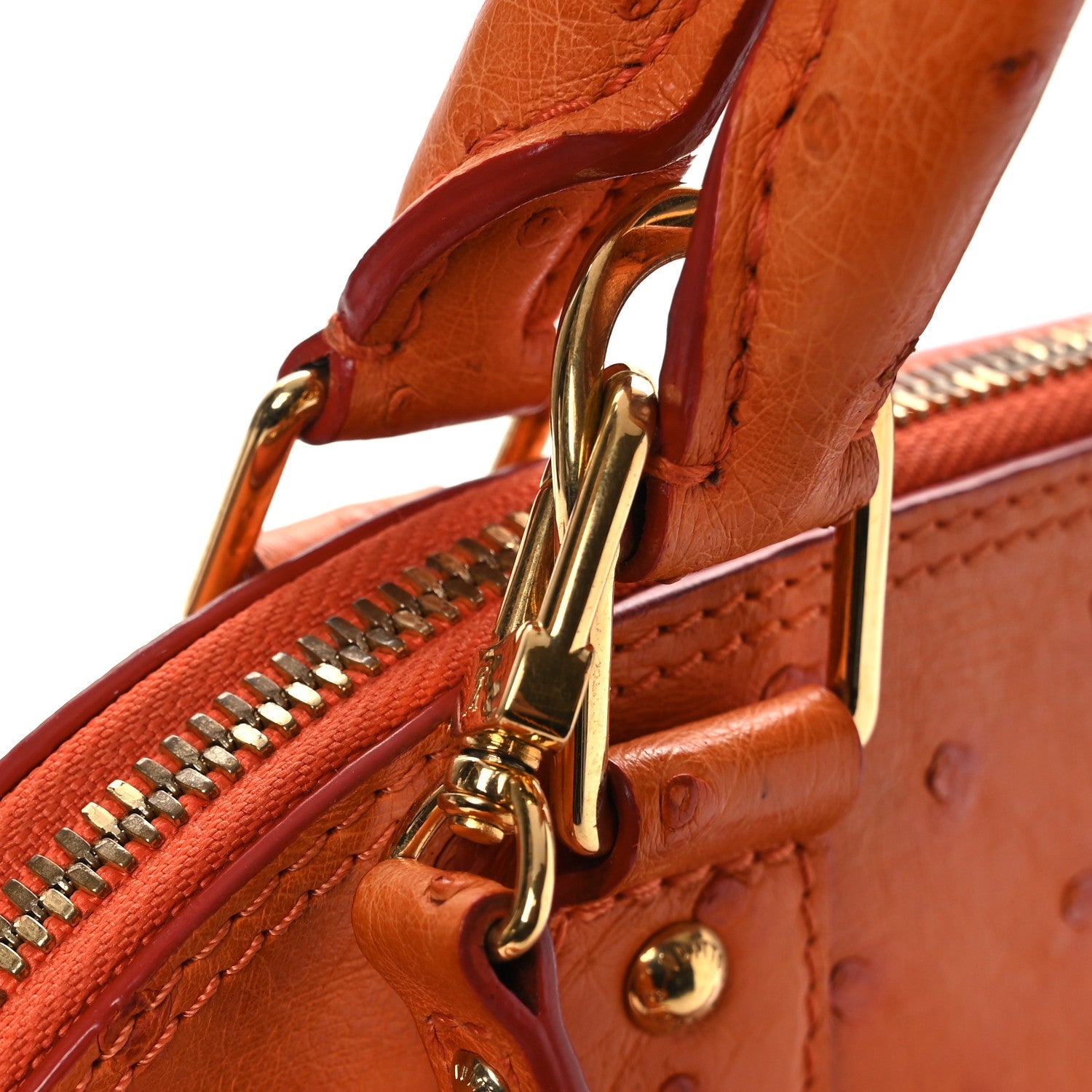 Ostrich Alma BB Piment