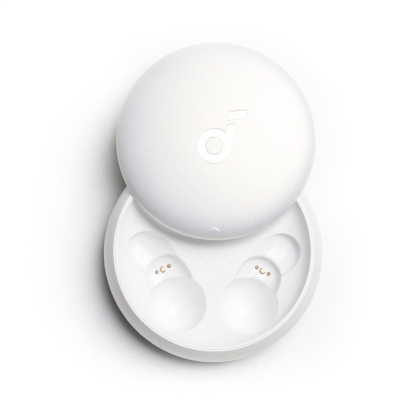Sleep A10 Charging Case - White