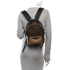 Reverse Monogram Palm Springs Backpack PM