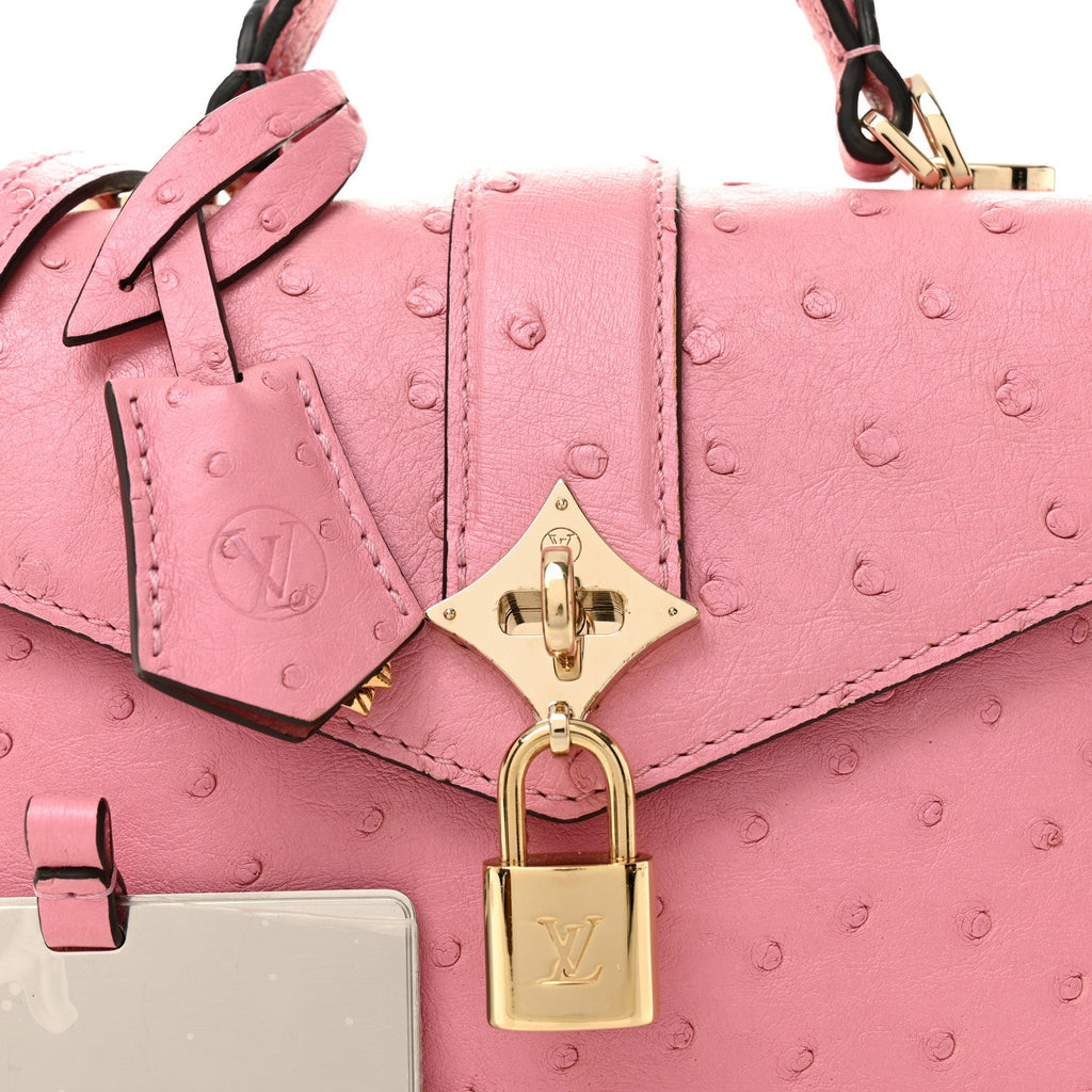 Ostrich Rose Des Vents Mini Pink